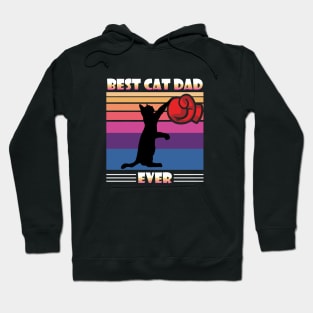 Best Cat Dad Ever Hoodie